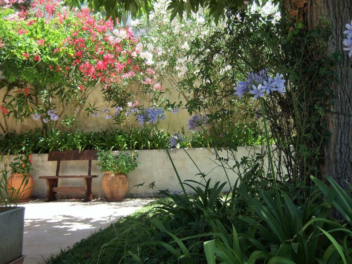 Au Vallon Rouge Saint-Paul-de-Vence Exterior foto